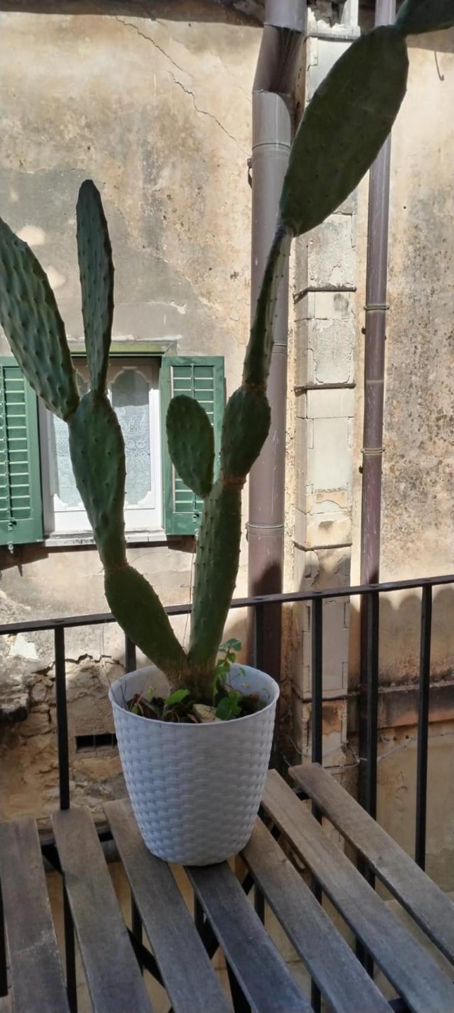 Residenza Donnafugata B&B 라구사 외부 사진